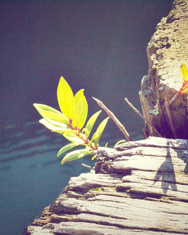 Map of Forgotten Places